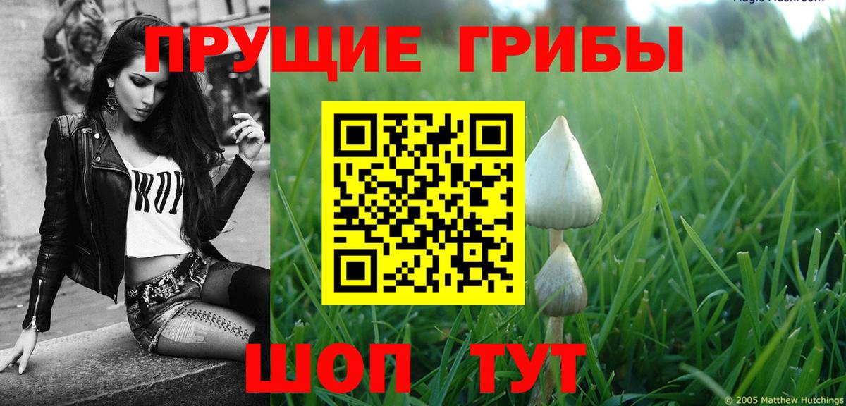 Псилоцибиновые грибы прущие грибы  Псилоцибиновые грибы GOLDEN TEACHER  Вход с VPN  Воркута 